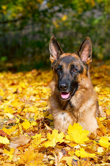 The Day I Learned That Love Sometimes Means Letting Go