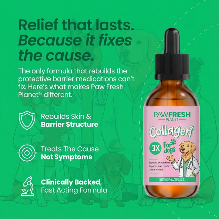 Premium Liquid Collagen