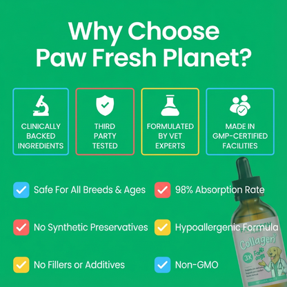 Premium Liquid Collagen