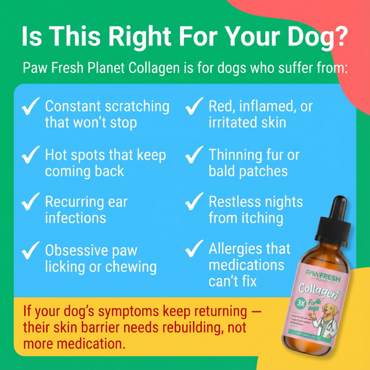 Premium Liquid Collagen