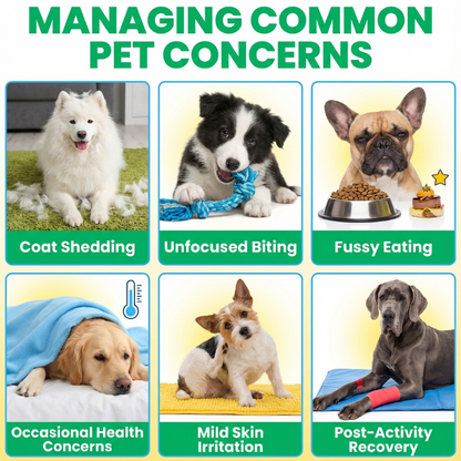 Premium Liquid Collagen