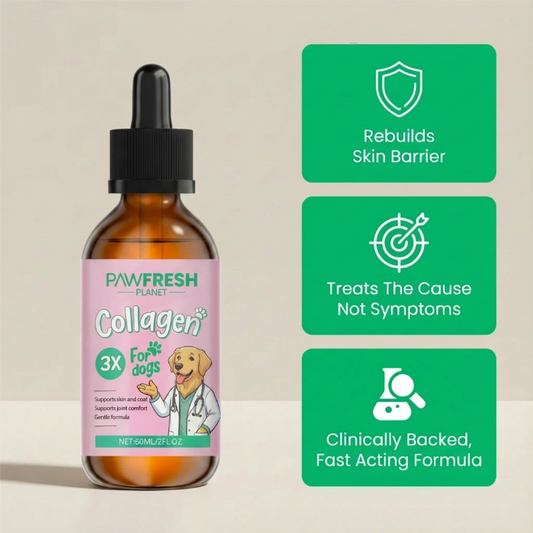 Premium Liquid Collagen